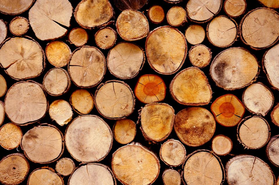 logs of natural wood 